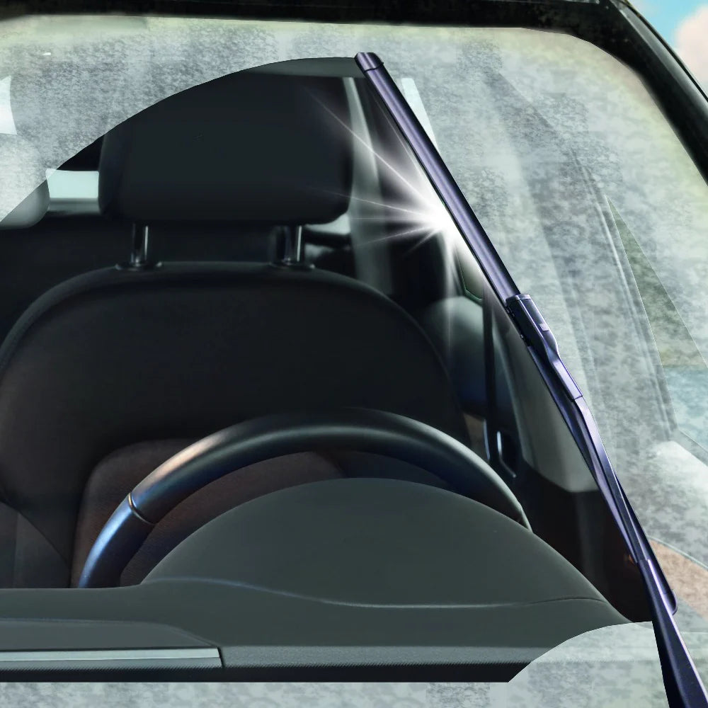 CW1:100 Super Scheibenreiniger